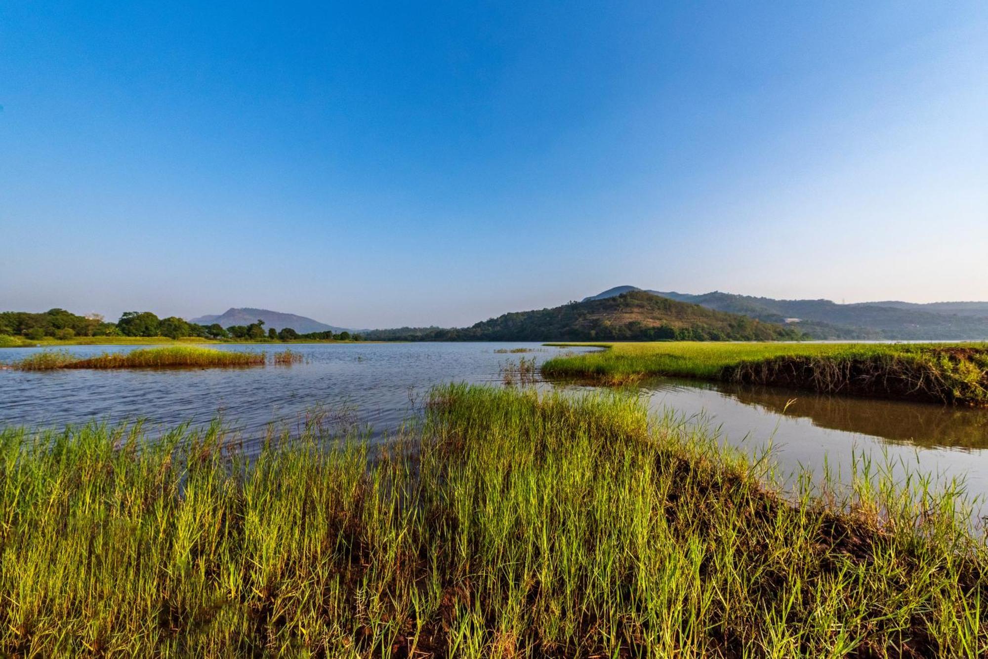 Saffronstays Lakeview Nivara - Farm Stay Villa With Private Pool Near Πούνε Εξωτερικό φωτογραφία
